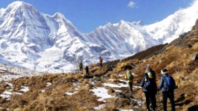 Photo of कञ्चनजङ्घा आधार शिविरमा साहसिक हाफ म्याराथन हुने