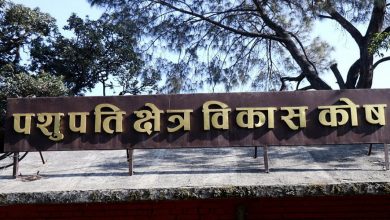 Photo of पशुपति क्षेत्र विकास कोषमा अब कार्यकारी निर्देशक पद नरहने
