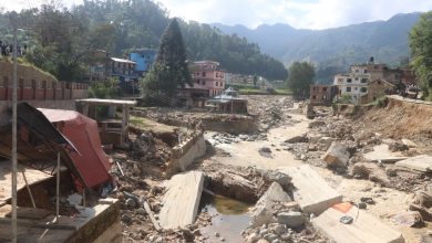 Photo of विपद् आउनु अघि व्यवस्थापनको तयारीमा जुट्न निर्देशन