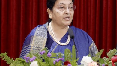 Photo of पूर्वराष्ट्रपति भण्डारी एमालेको वरिष्ठ नेतामा चयन