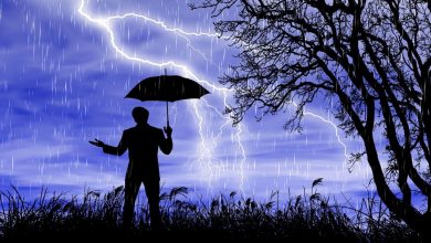 Photo of पश्चिम नेपालमा सुरु भयो वर्षा