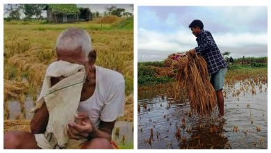 Photo of भित्र्याउने तयारीमा रहेको बालीमा बेमौसमी बर्षाले क्षति, किसान चिन्तित