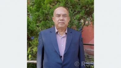 Photo of क्रिकेटप्रेमीको सपनाः एनपिएलको नयाँ अध्याय