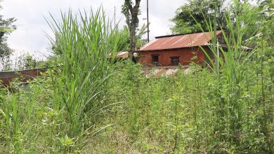 Photo of जमिन बाँझो नराख्न धादिङको ज्वालामुखी गाउँपालिकाको आग्रह