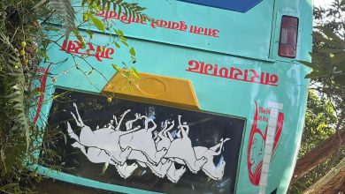 Photo of गोरखाको १२ किलोमा रोकिएको बस पल्टियो, १ जनाको अवस्था गम्भीर