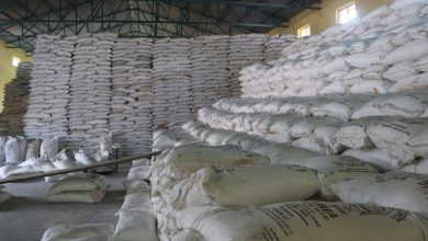 Photo of गोदाममै थन्कियो झन्डै डेढ हजार मेट्रिक टन रासायनिक मल