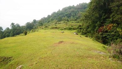 Photo of म्याग्दीको सौरबोटमा १ सय १२ रोपनी खेतीयोग्य जमिन बाँझो !