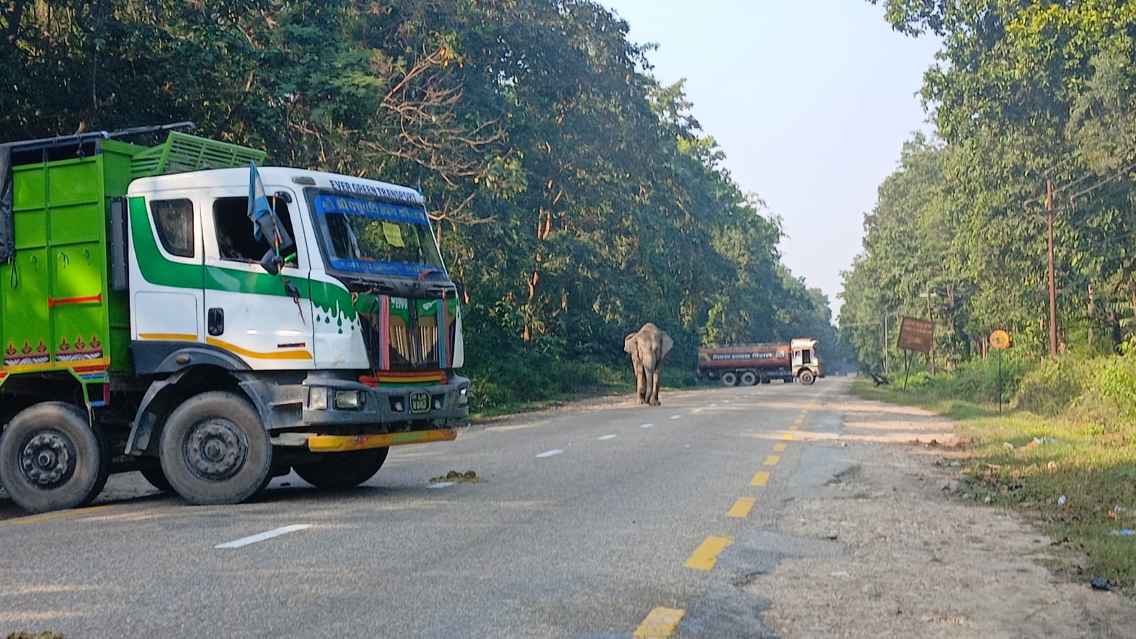 जङ्गली हात्तीको आक्रमणबाट ट्रक चालकको मृत्यु, राजमार्ग अवरुद्ध