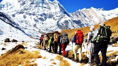 Photo of कात्तिकमा ३५ हजार बढी पर्यटकले ‘एक्याप’ घुमे