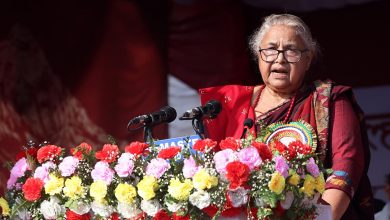 Photo of युवाले चाहेजस्तो देश निर्माणमा अग्रसर छौँः प्रधानमन्त्री