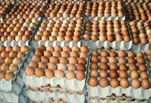 Photo of ‘अण्डा’को लागत मूल्य बढ्यो