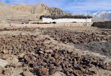 Photo of माथिल्लो मुस्ताङमा जाडो थेग्न गुइँठाको भर