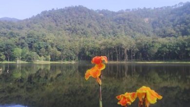 Photo of आहा ! आलिताल