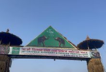 Photo of सौराहामा आजदेखि हात्ती तथा पर्यटन महोत्सव सुरु