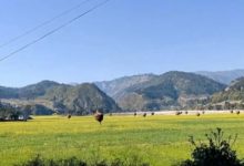 Photo of तोरीमय डोटीका खेतबारी – फोटो फिचर