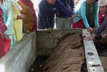 Photo of गड्यौँलाको मल बिक्रीबाट २५ लाख रुपैयाँसम्म आम्दानी