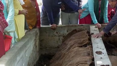 Photo of गड्यौँलाको मल बिक्रीबाट २५ लाख रुपैयाँसम्म आम्दानी