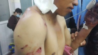 Photo of भालुको आक्रमणबाट युवक घाइते