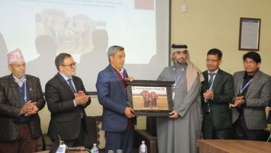 Photo of कतार उडे खगेन्द्रप्रसाद र रुद्रकली