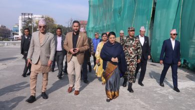 Photo of सिंहदरबारका क्षतिग्रस्त संरचना चाँडै बन्नेमा पूर्वराष्ट्रपति भण्डारीको विश्वास