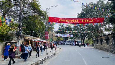 Photo of नयाँ वर्षको स्वागतमा व्यग्र पोखरा