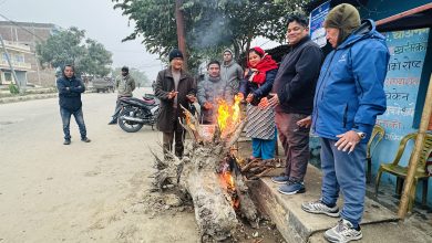 Photo of शीतलहरबाट जनजीवन प्रभावित,विद्यालयमा विद्यार्थीको उपस्थिति घट्यो
