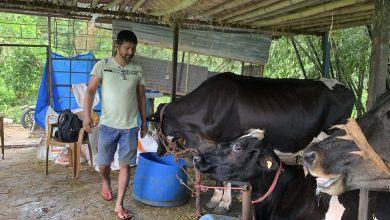 Photo of पसिनाका गन्धमा सफलता खोज्ने तिवारी