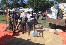 Photo of खाद्यद्वारा दाङबाट एक करोड ४४ लाख बढीको धान खरिद