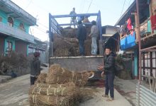 Photo of चिराइतो बिक्री नहुँदा किसान चिन्तित