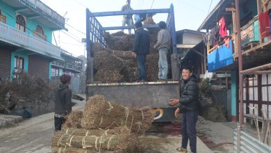 Photo of चिराइतो बिक्री नहुँदा किसान चिन्तित