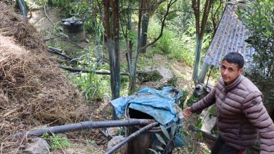 Photo of गहुँतबाट जैविक विषादी उत्पादन गरेर खेतीमा प्रयोग