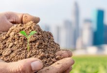 Photo of आज विश्व माटो दिवसको अवसरमा विभिन्न कार्यक्रमहरुको आयोजना गरिँदै