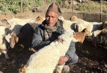 Photo of भेँडागोठमा पाँच दशक बिताएका नरेन्द्रलाई पढ्न नपाएकामा पछुतो