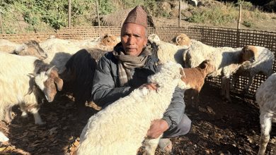 Photo of भेँडागोठमा पाँच दशक बिताएका नरेन्द्रलाई पढ्न नपाएकामा पछुतो