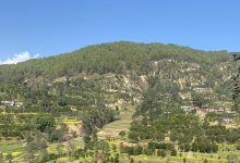 Photo of काभ्रेमा कृषि–पर्यटन प्रवर्द्धनार्थ ‘सुन्तला–हाइकिङ’