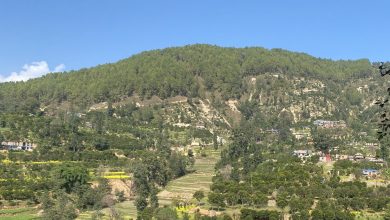 Photo of काभ्रेमा कृषि–पर्यटन प्रवर्द्धनार्थ ‘सुन्तला–हाइकिङ’