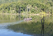 Photo of आन्तरिक पर्यटकको रोजाइ बन्दै बाह्रकुने दह