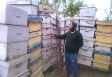 Photo of अवकाशपछिको जाँगरः मौरीपालनबाट मनग्य आम्दानी गर्दै घनश्याम