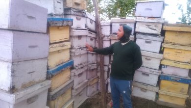 Photo of अवकाशपछिको जाँगरः मौरीपालनबाट मनग्य आम्दानी गर्दै घनश्याम