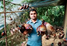 Photo of व्यावसायिक कृषिमा रमाउँदै ढकाल परिवार