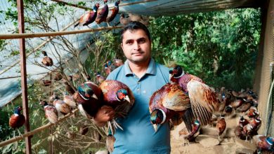 Photo of व्यावसायिक कृषिमा रमाउँदै ढकाल परिवार