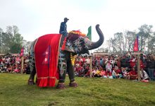 Photo of चितवनको पर्याय बन्दै ‘हात्ती तथा पर्यटन महोत्सव’