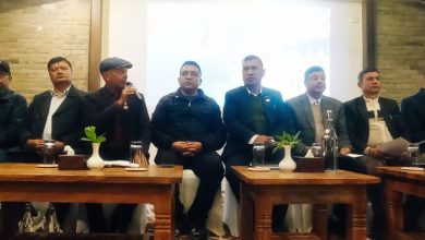 Photo of पोखरामा २७ औँ पोखरा सडक महोत्सव पुस १३ देखि