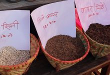 Photo of मकवानपुरगढी गाउँपालिकाले ६ रैथाने बालीको समर्थन मूल्य तोक्यो