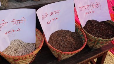 Photo of मकवानपुरगढी गाउँपालिकाले ६ रैथाने बालीको समर्थन मूल्य तोक्यो