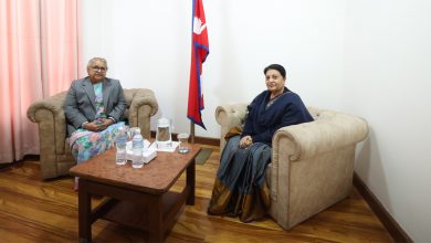 Photo of प्रधानमन्त्री कार्की र पूर्वराष्ट्रपति भण्डारी भण्डारीबीच भेट