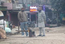 Photo of कञ्चनपुरमा शितलहर