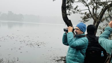 Photo of नेपालको पहिलो बर्ड स्याङ्क्चुरी कैलालीको घोडाघोडीमा जलपंक्षी गणना सुरु