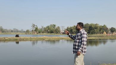 Photo of खत्वेको लोभलाग्दो कृषि कर्म