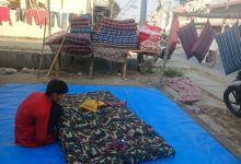 Photo of धुनियाको व्यापार धरापमा, माघमा पनि माग घट्यो